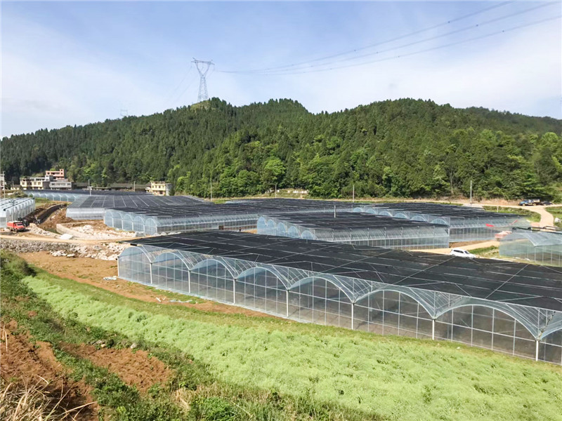 無土栽培，無土栽培技術(shù)，無土栽培設(shè)備